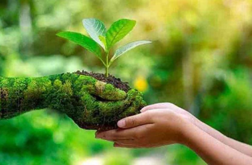 পরিবেশ অপরাধের গুরুত্ব