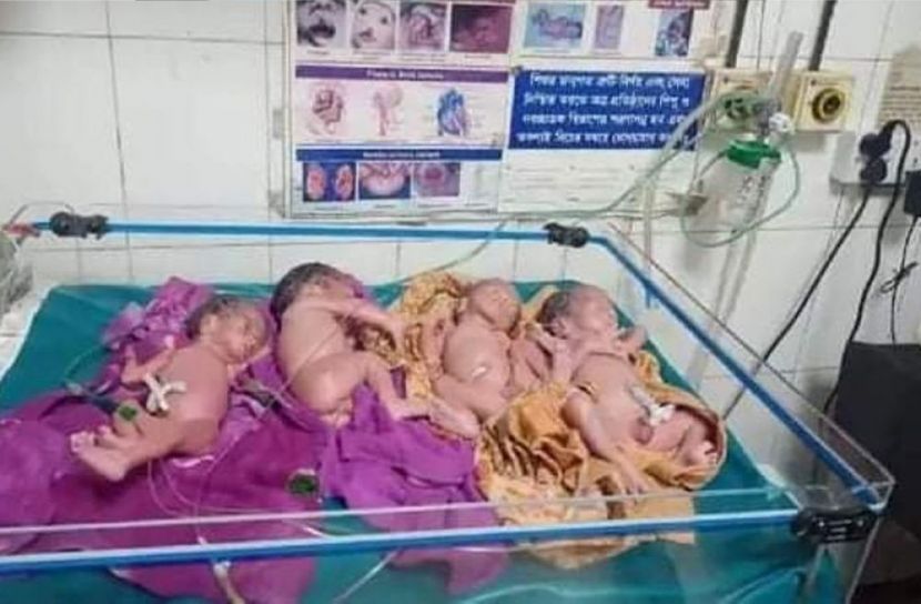 একসঙ্গে জন্ম নিলো চার সন্তান
