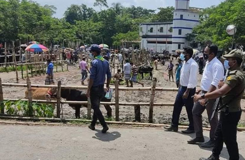 ভিন্ন রকমের গরুর হাট
