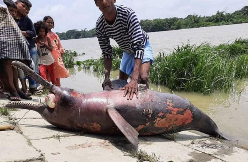 ছবি- সংগৃহীত