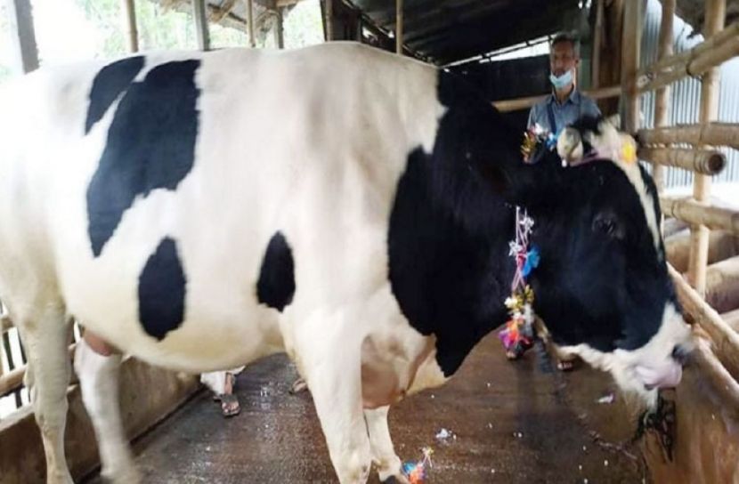 বাহাদুর ও ভদ্রের দাম ৪৫ লাখ