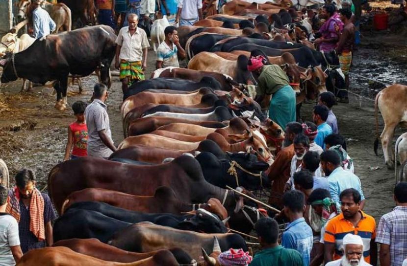 ডিএসসিসির তিন হাট বাতিল