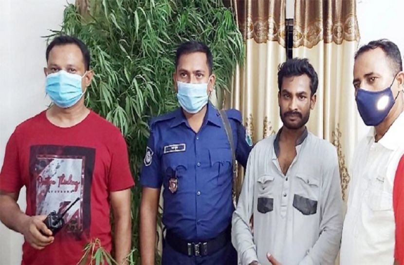 বগুড়ায় গাঁজার গাছসহ যুবক গ্রেফতার
