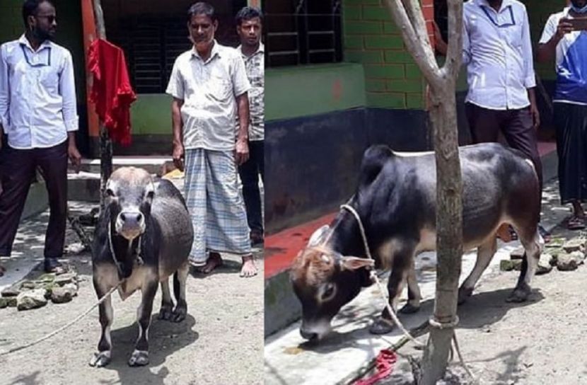 মেসি ওজনে কম, দামে আকাশ ছোঁয়া!