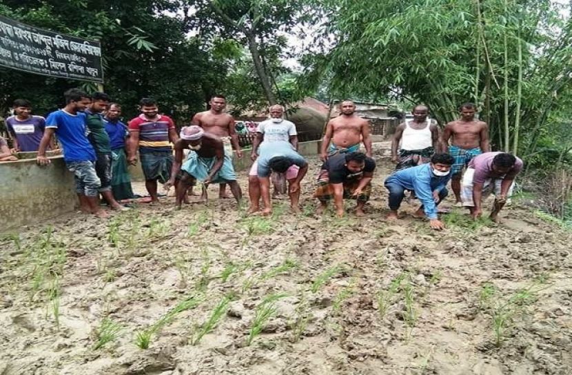 সড়কে ধানের চারা রোপণ করে প্রতিবাদ