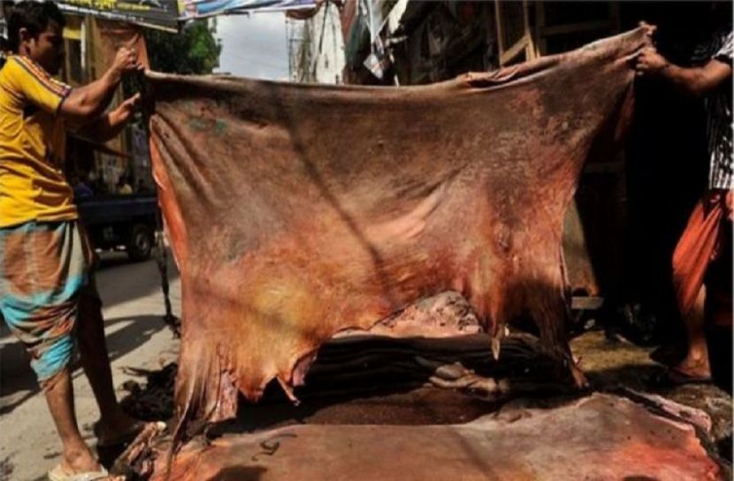 চামড়া কিনতে ৫৮৩ কোটি টাকা দেবে ব্যাংক