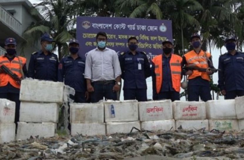 চাঁদপুরে ৩৫ মণ চিংড়ি জব্দ 
