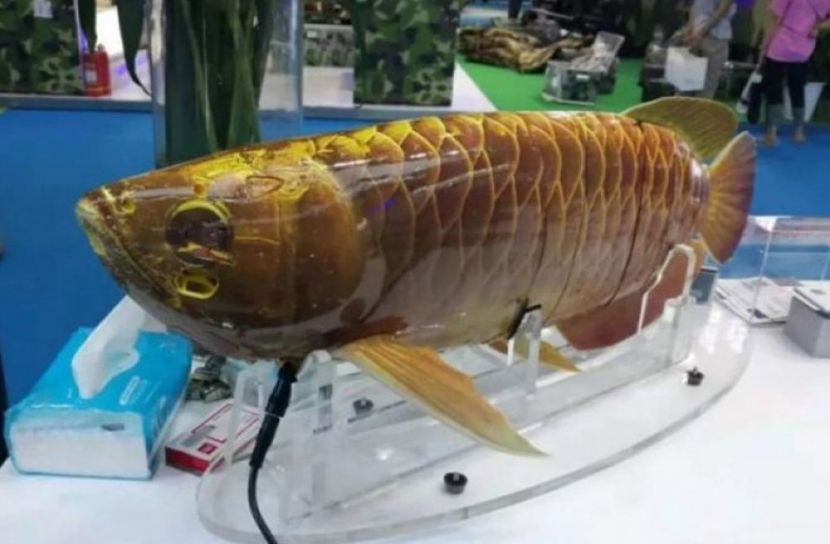মাছের ড্রোন!