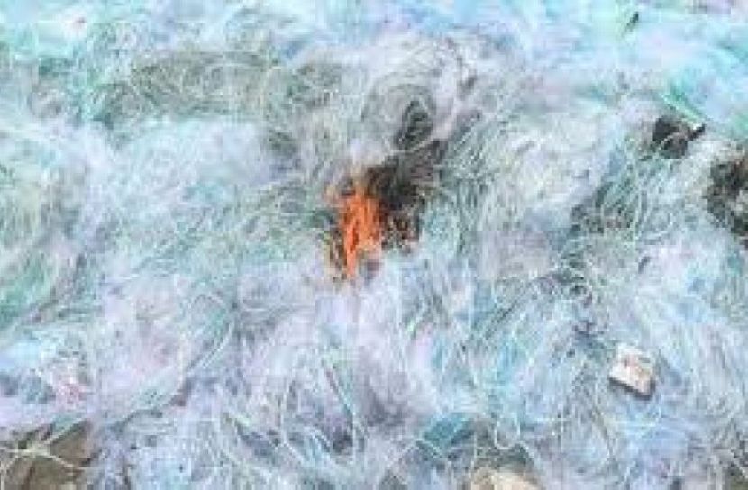 শাজাহানপুরে ৫০ হাজার মিটার কারেন্ট জাল জব্দ