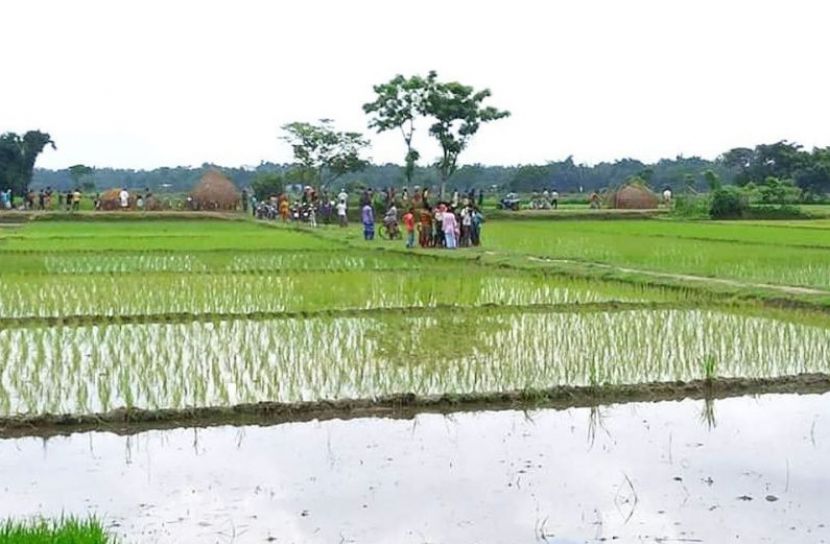 আদিতমারীতে বিএসএফের গুলিতে নিহত ১