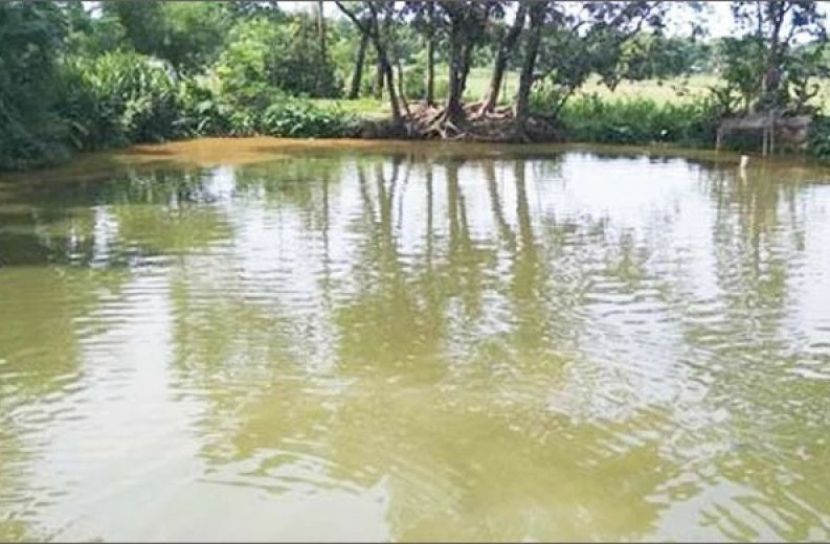 পুকুরে ডুবে মামা-ভাগ্নের মৃত্যু