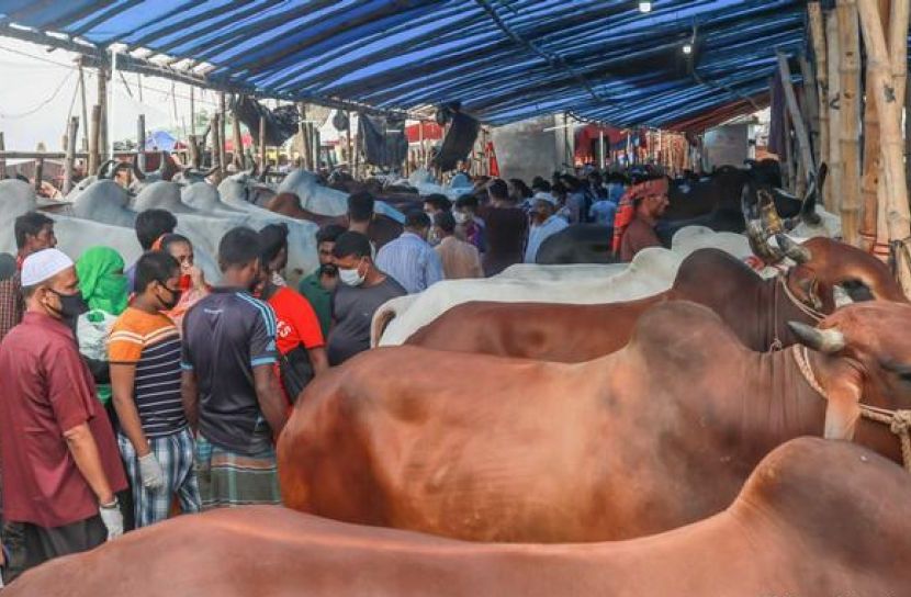 হাটগুলোতে মোবাইল কোর্ট আছে৷ তারপরও সামাজিক দূরত্ব মানার কোনো বালাই নেই৷ এজন্য বিশেষ কোন ব্যবস্থাও নেয়া হয়নি৷ ইজাদারদের পক্ষ থেকে হাত ধোয়া বা হ্যান্ড স্যানিটাইজারও সরবরাহ করা হয়নি৷