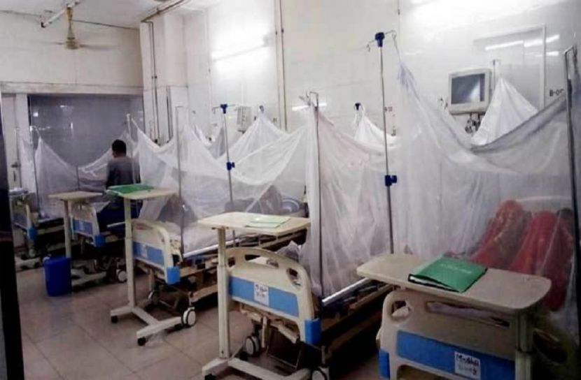 ৩০০ ছাড়িয়েছে  ডেঙ্গু রোগী