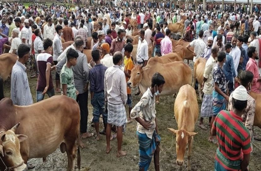 জমে উঠেছে ঐতিহ্যবাহী ঢেলাপীরে কোরবানির হাট