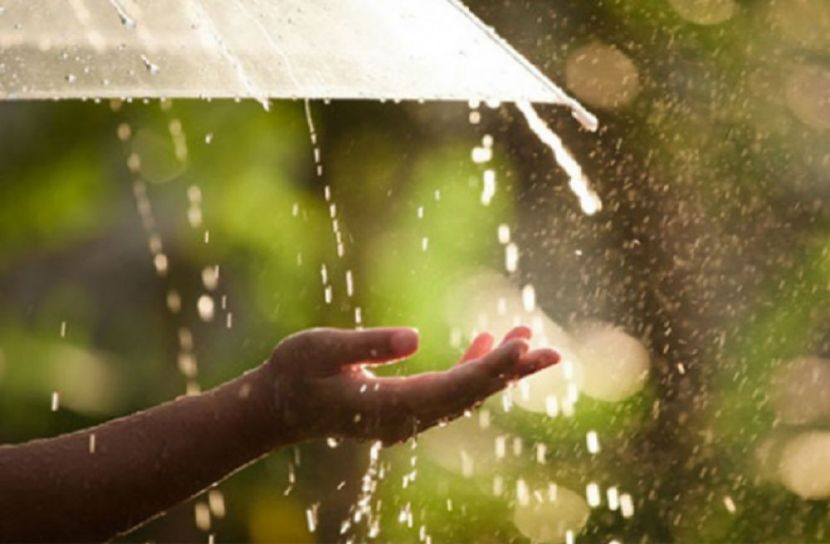 শনিবার কোথায় কেমন বৃষ্টিপাত