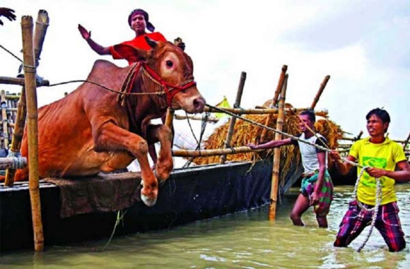 ফাইল ফটো