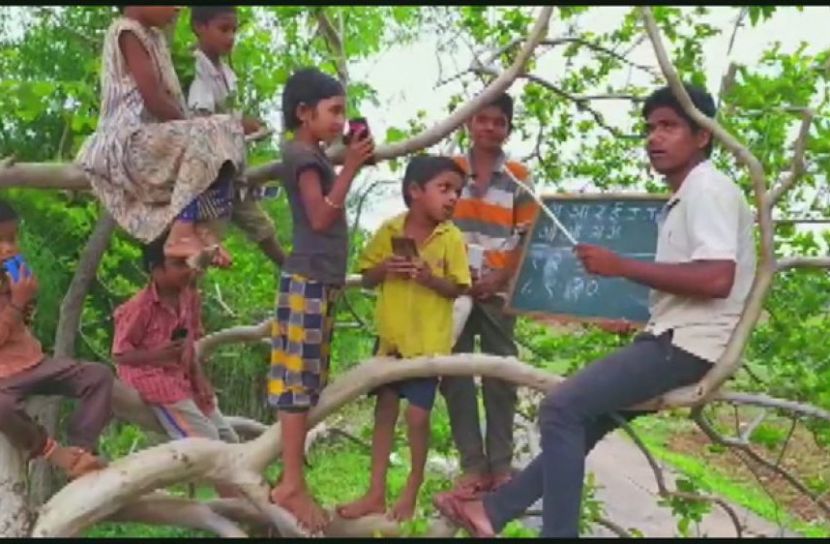মোবাইলের নেটওয়ার্ক পেতে গাছে চড়ে বসছে শিশুরা -ছবি সংগৃহীত