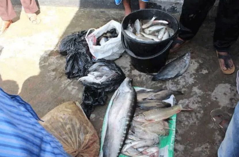 কাপ্তাই হ্রদে মাছ শিকার, নৌকা-জাল জব্দ