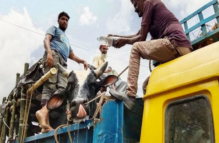 দৌলতদিয়া-পাটুরিয়ায় দীর্ঘ যানজট, ভোগান্তি চরমে