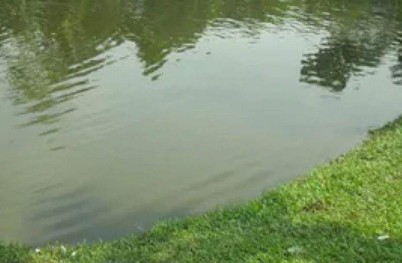 রংপুরে খালে ডুবে যমজ শিশুর মৃত্যু