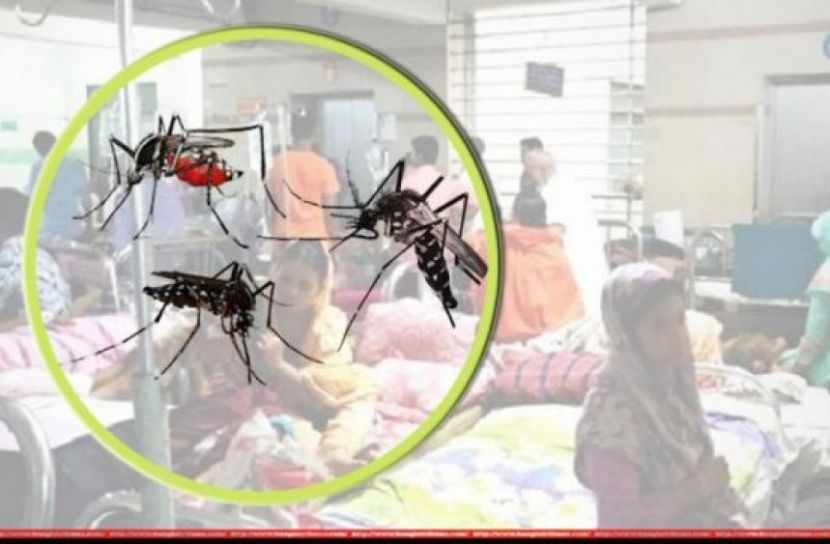 ডেঙ্গু পরিস্থিতি অবনতির শঙ্কা