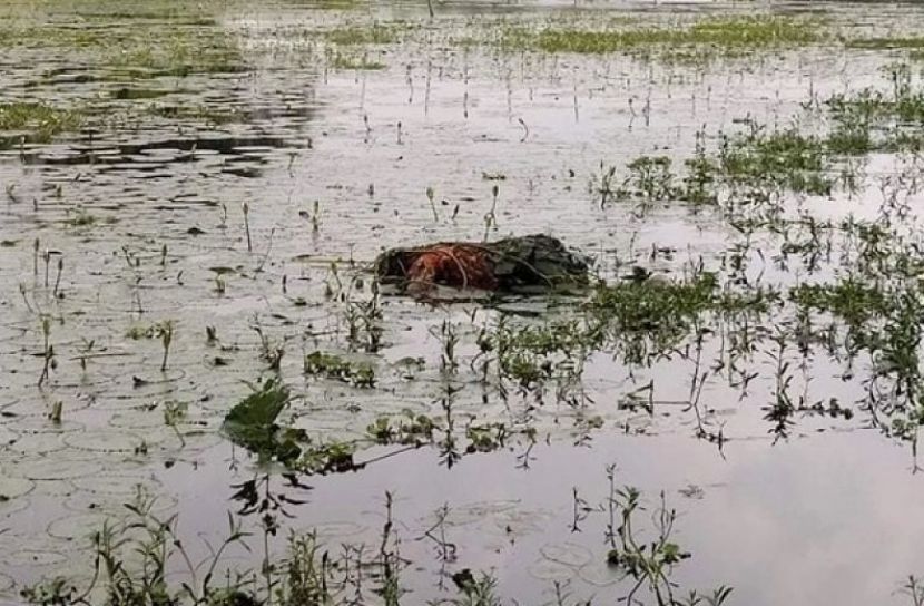 গাজীপুরে নিখোঁজ কিশোরীর মরদেহ উদ্ধার