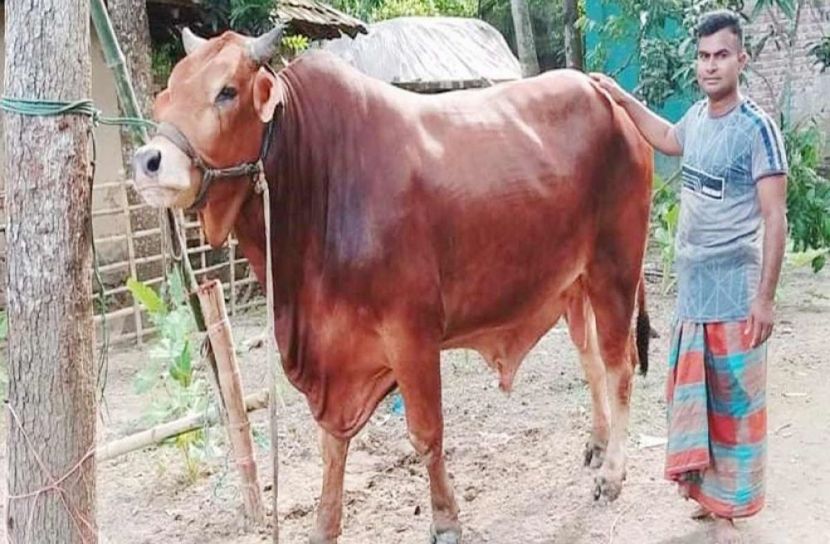 প্রধানমন্ত্রীকে উপহার দিতে প্রস্তুত ‘স্বপ্নরাজ’ 