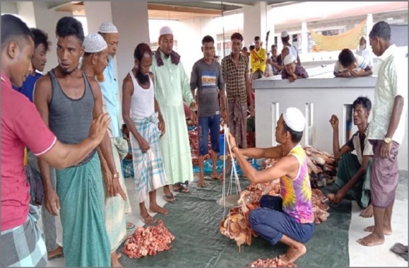 ভাসানচরে প্রথম কোরবানি