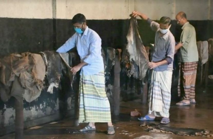 কোরবানির চামড়া নিয়ে সিসিকের ব্যতিক্রমী উদ্যোগ 