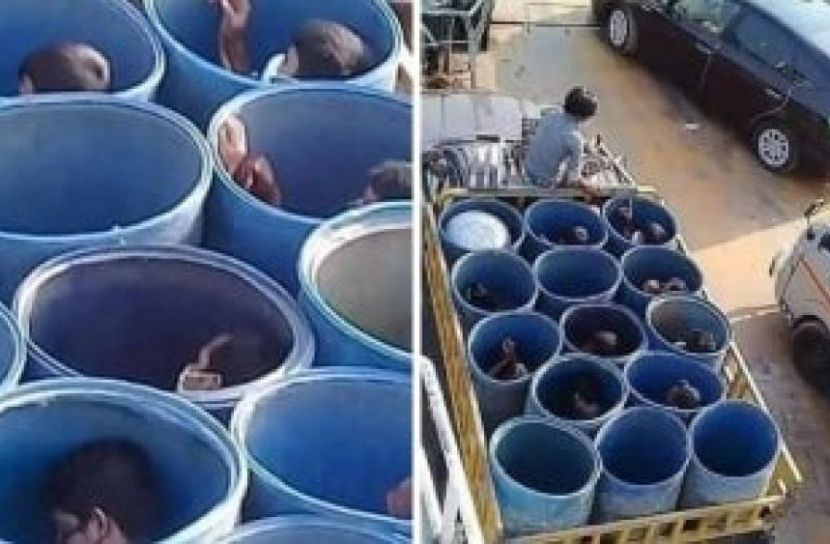 মাছের ড্রামের ভেতরে যাত্রী