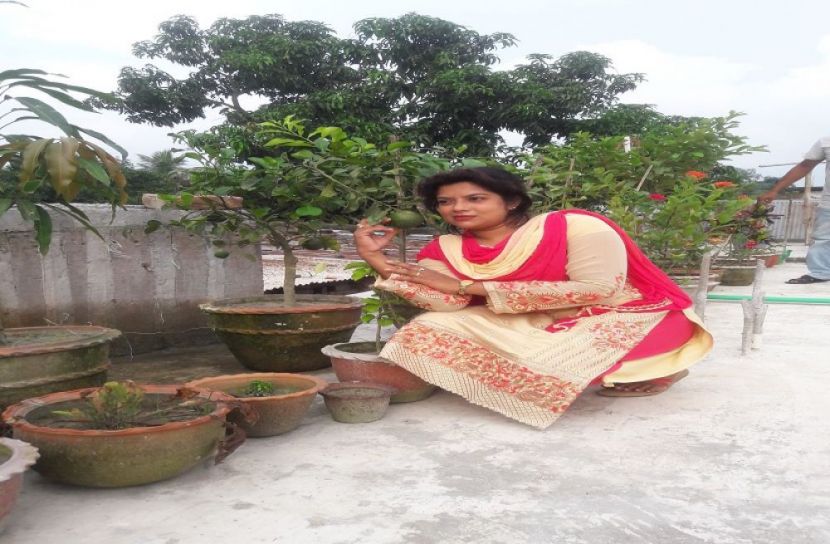 বাড়ির ছাদে শখের বাগান