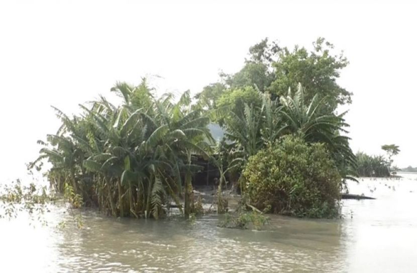 পানির নিচে ভোলার ৩০ গ্রাম
