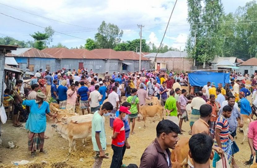 লকডাউনে জমজমাট পশুর হাট!
