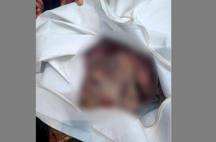 পাটক্ষেতে মিললো যুবকের গলাকাটা লাশ 