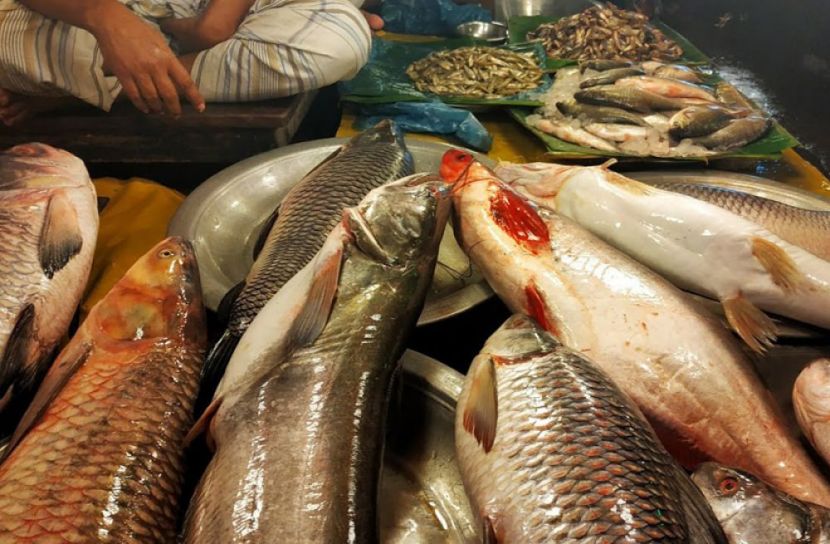 তাজা মাছ চেনার উপায়