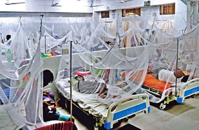 বেড়েছে ডেঙ্গু রোগী, শনাক্ত ১৪৩