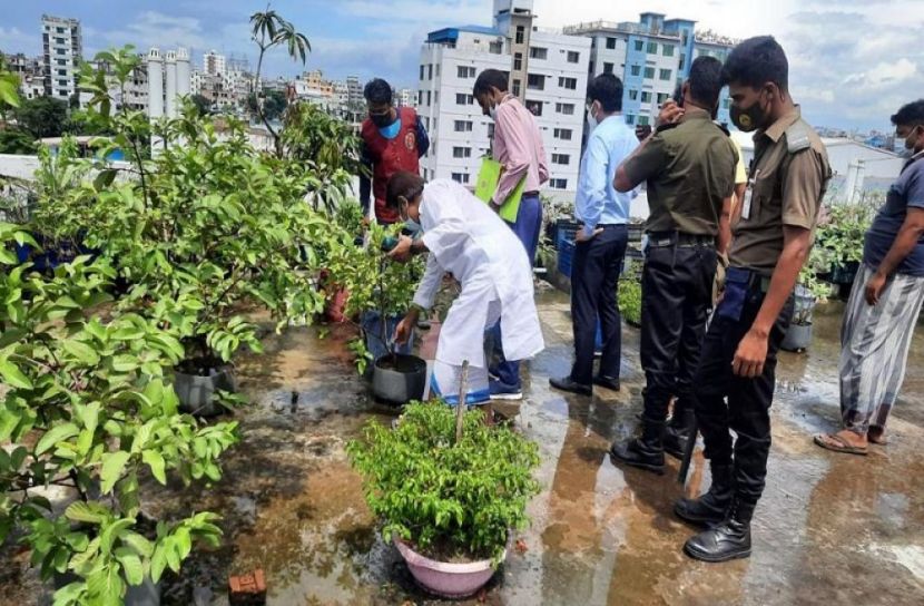 এডিস নিয়ন্ত্রণে দক্ষিণে ৩ লাখ টাকা জরিমানা 