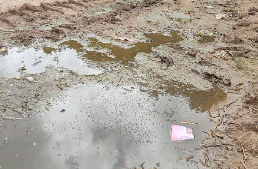 রেলওয়ে মাঠে এডিসের লার্ভা!