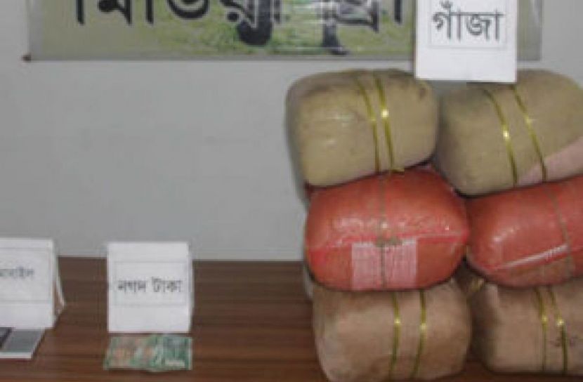 ঘরে মিললো তিন বস্তা গাঁজা 