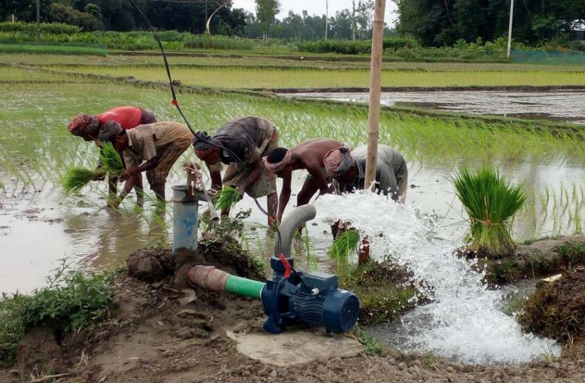 বৃষ্টির দেখা নাই, আমন চাষ ব্যাহত