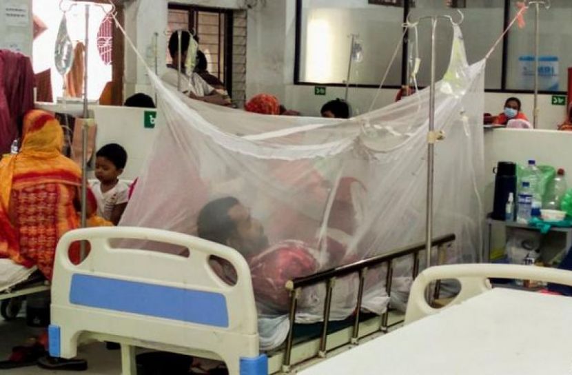 আগস্টের প্রথম ৬ দিনে ১৪৫৭ ডেঙ্গু রোগী শনাক্ত