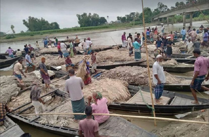 পাটের ভাল দাম পেয়ে খুশী চাষীরা