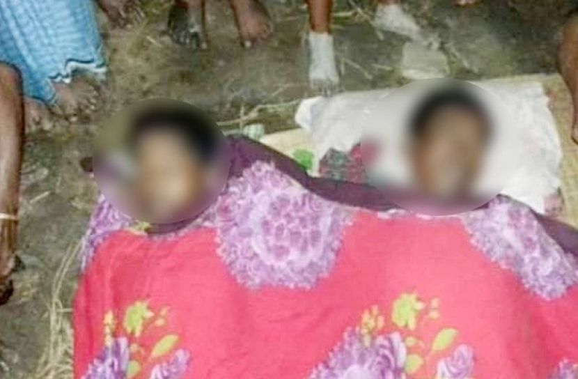 চারা রোপণ করছিলেন বাবা-ছেলে, বজ্রপাতে মৃত্যু