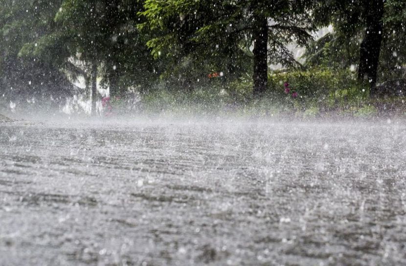 রাজধানীতে বৃষ্টি