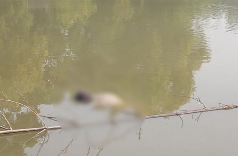 পুকুরে ভেসে উঠলো যুবকের লাশ 