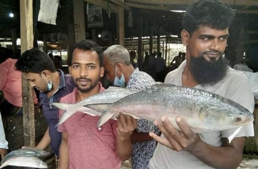 একবার জাল ফেলেই ১০২ মণ ইলিশ