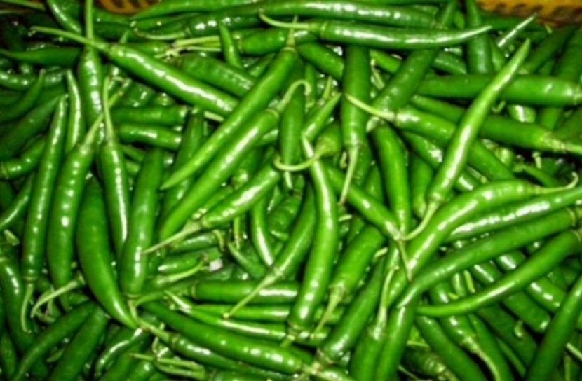 ভারত থেকে এলো ১৭৮ টন কাঁচামরিচ