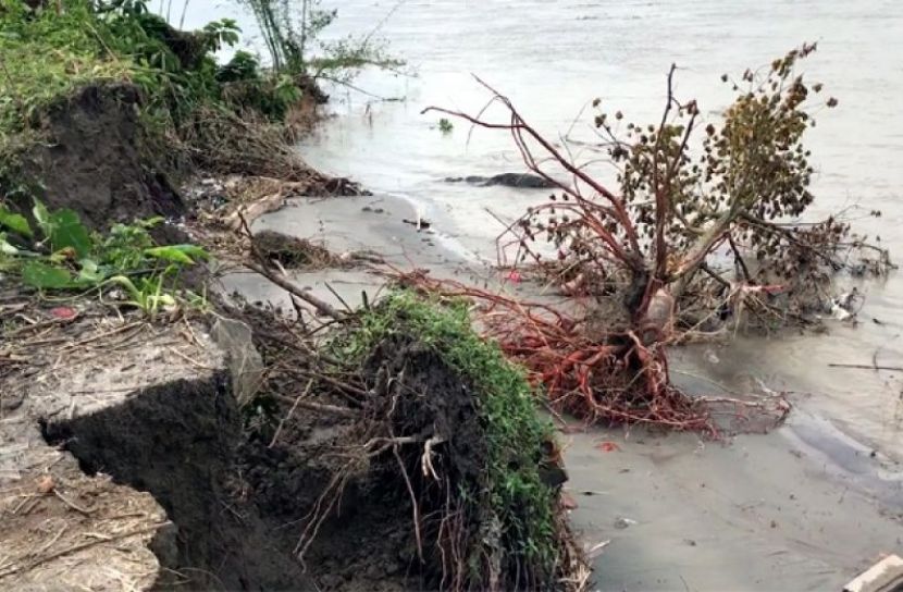 পদ্মার ভাঙনে দেড়মাসে ৬০ পরিবার গৃহহীন