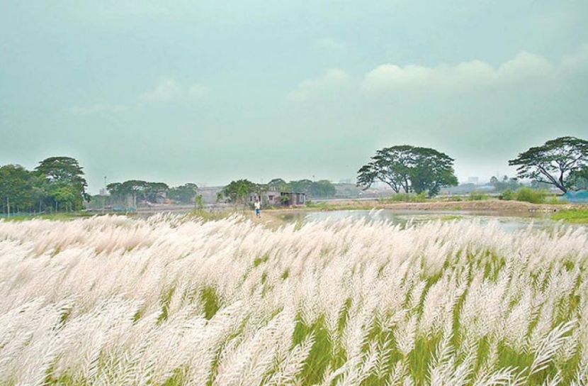 শরৎ হিমের পরশ লেগেছে হাওয়ার পরে