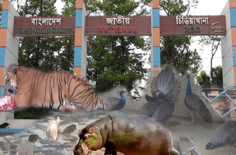 জাতীয় চিড়িয়াখানা খুলছে ১৯ আগস্ট